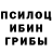 Галлюциногенные грибы Psilocybe Slank ers