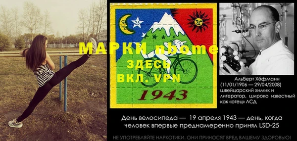 гидра Абаза