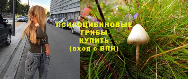 прущие грибы Алексеевка